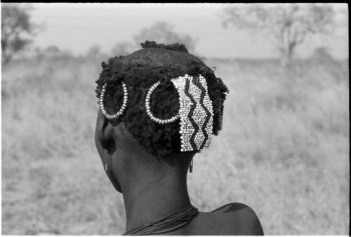 Back of /Goishay's (wife of ≠Gao and daughter of Khwo//o) head with ornaments and safety-pin earrings