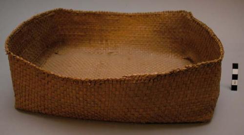 Cedar bark basket