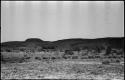 Landscape with brush, hills in background