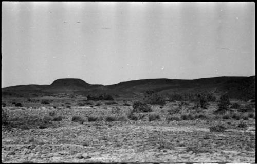 Landscape with brush, hills in background