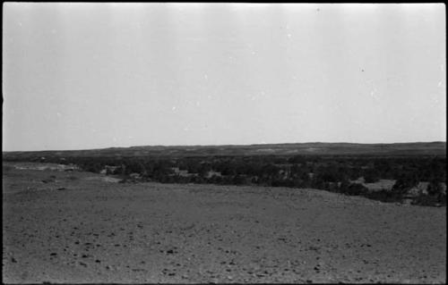 Desert landscape