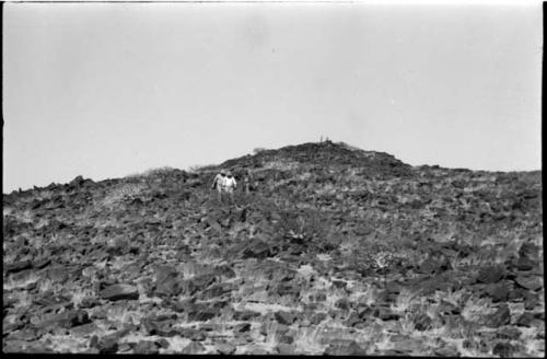 Three men walking down a hill, and two men standing at the top