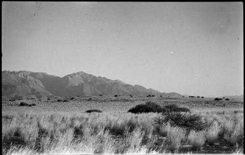 Landscape, with grass and brush, mountains in distance