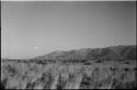 Landscape with grass and brush, mountains in distance