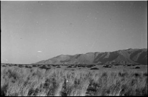 Landscape with grass and brush, mountains in distance