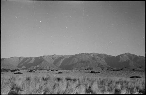 Landscape with grass and brush, mountains in distance