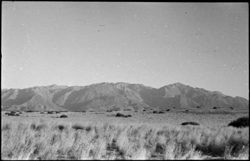 Landscape with grass and brush, mountains in distance