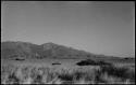 Landscape with grass and brush, mountains in distance