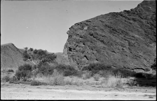 Edge of cliff and trees