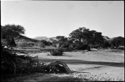 Landscape with trees, mountains in distance