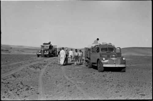 People standing next to trucks