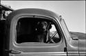 Dog sitting inside the cab of an expedition truck, close-up