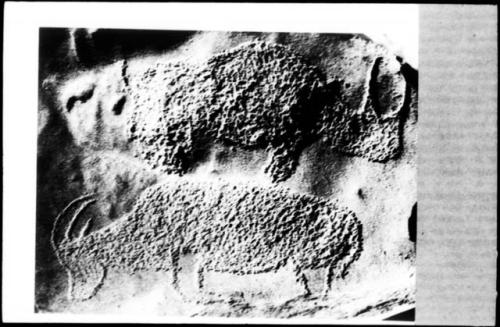 Petroglyph of rhino and antelope at the Kairuz site