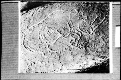 Petroglyph of a rhino at Bosworth's Farm, Klerksdorp