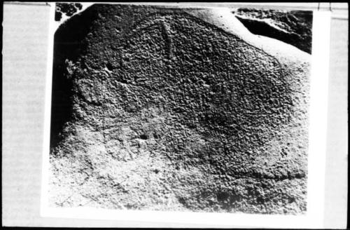 Petroglyph of an elephant at Soussen's site