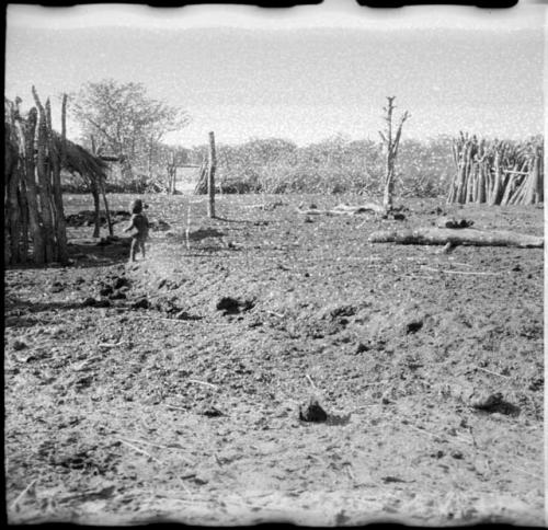 Child standing inside the kraal, showing gate, thorn fence and stockade