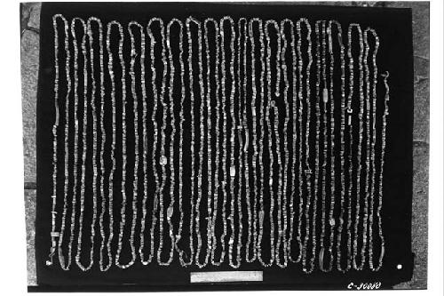 Caracol. Shell beads found in trench at base of upper stairway.