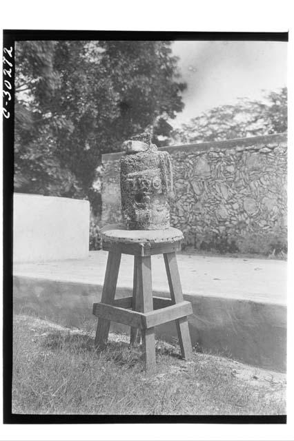 Coba, stucco head brought to Chichen by Thompson and Pollock