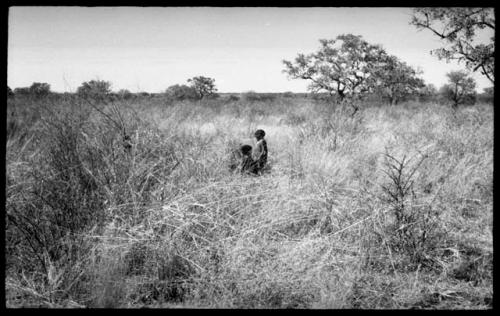 Two children in the grass, seen from a distance