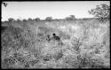 Two children in the grass, seen from a distance