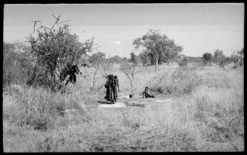 Ju/'hoansi sitting in grass, distant view