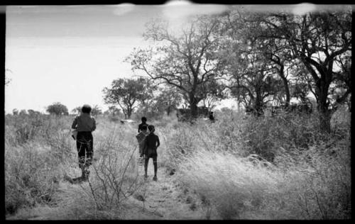 Elizabeth Marshall Thomas walking with three unidentified boys