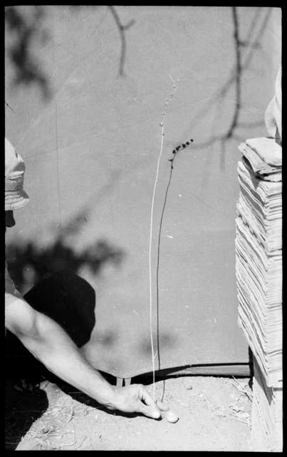 Robert Story holding a plant