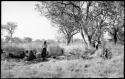 Elizabeth Marshall Thomas standing and taking notes with unidentified Ju/'hoansi seated around her