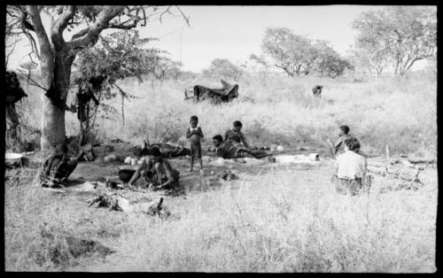 ≠Toma, !U, and other unidentified people under a tree with Elizabeth Marshall Thomas observing, distant view