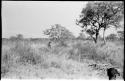 Boy, possibly Tsamgao, standing in the grass with an unidentified child standing beside him