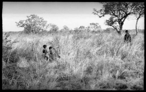 Figures in the grass, distant view