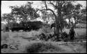 Group of people seated under a tree, an unidentified, visiting girl, standing, with the expedition camp and trucks in the background