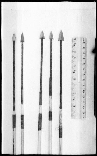 Five arrows and ruler for measurement