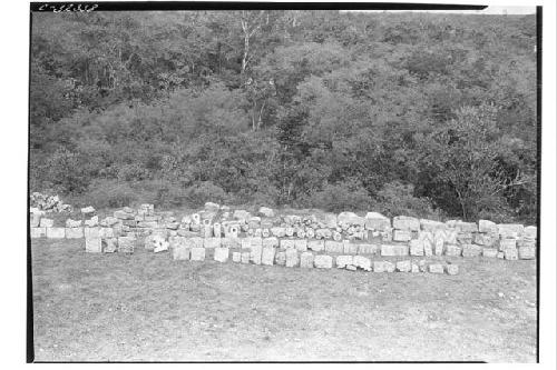 Caracol. Sculptured stones, east side, slope of upper platform. July 28th.