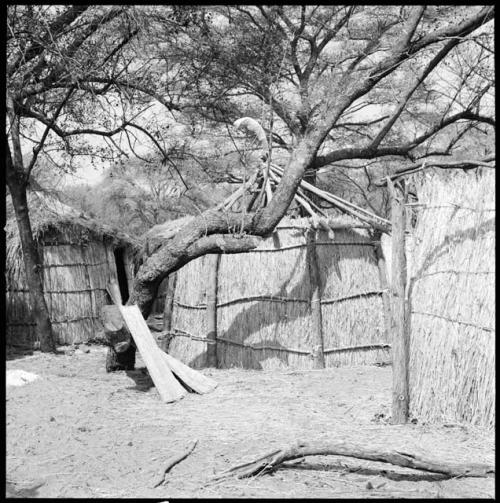 Hunting village on Muzwamo River, showing fence and huts