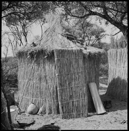 Fence-type hut with roof and door in place