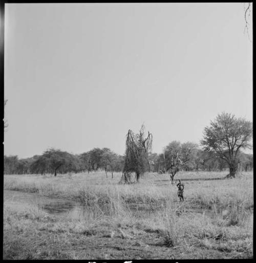 Person standing on shore of Muzwamo River in distance