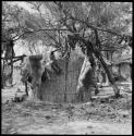 Fence hut at hunting village with hide and meat hanging on it