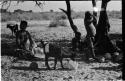 Women and children sitting in the shade with goats and tsama melons