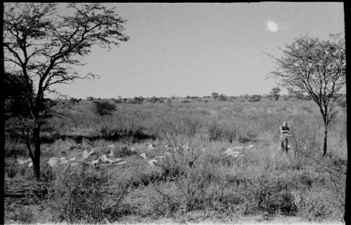 Expedition member standing in grass, distant view