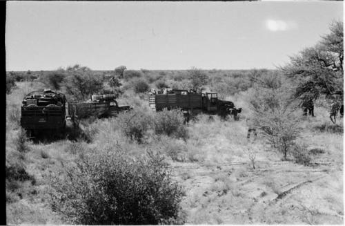 Trucks in brush, distant view