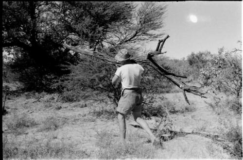 Casper Kruger carrying a tree branch for fire