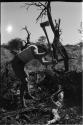 Casper Kruger with an axe, chopping a large branch