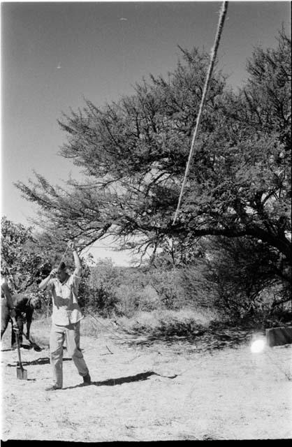 Bill Donnellan pulling a rope attached to tree branch