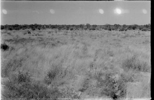 View of the Okwa Omuramba; expedition trucks in distance