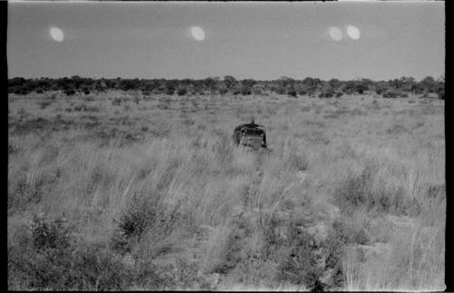 View of the Okwa Omuramba; expedition trucks in distance