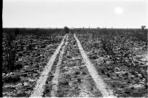 Burned area; tire tracks