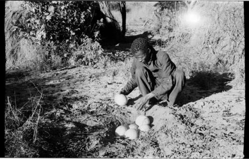 /Gishay picking up an ostrich shells