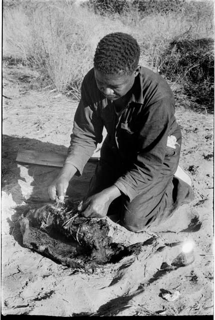 Philip Hameva cooking spingbok joint in a hide