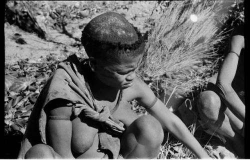 Tsekue sitting, close-up